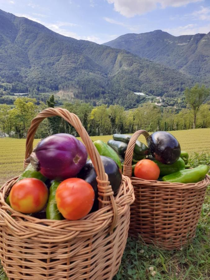 Coste Del Gaggio - Country House B&B - Garda Trentino Drena Buitenkant foto