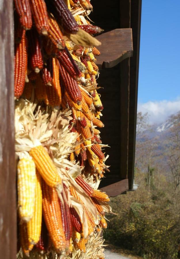 Coste Del Gaggio - Country House B&B - Garda Trentino Drena Buitenkant foto